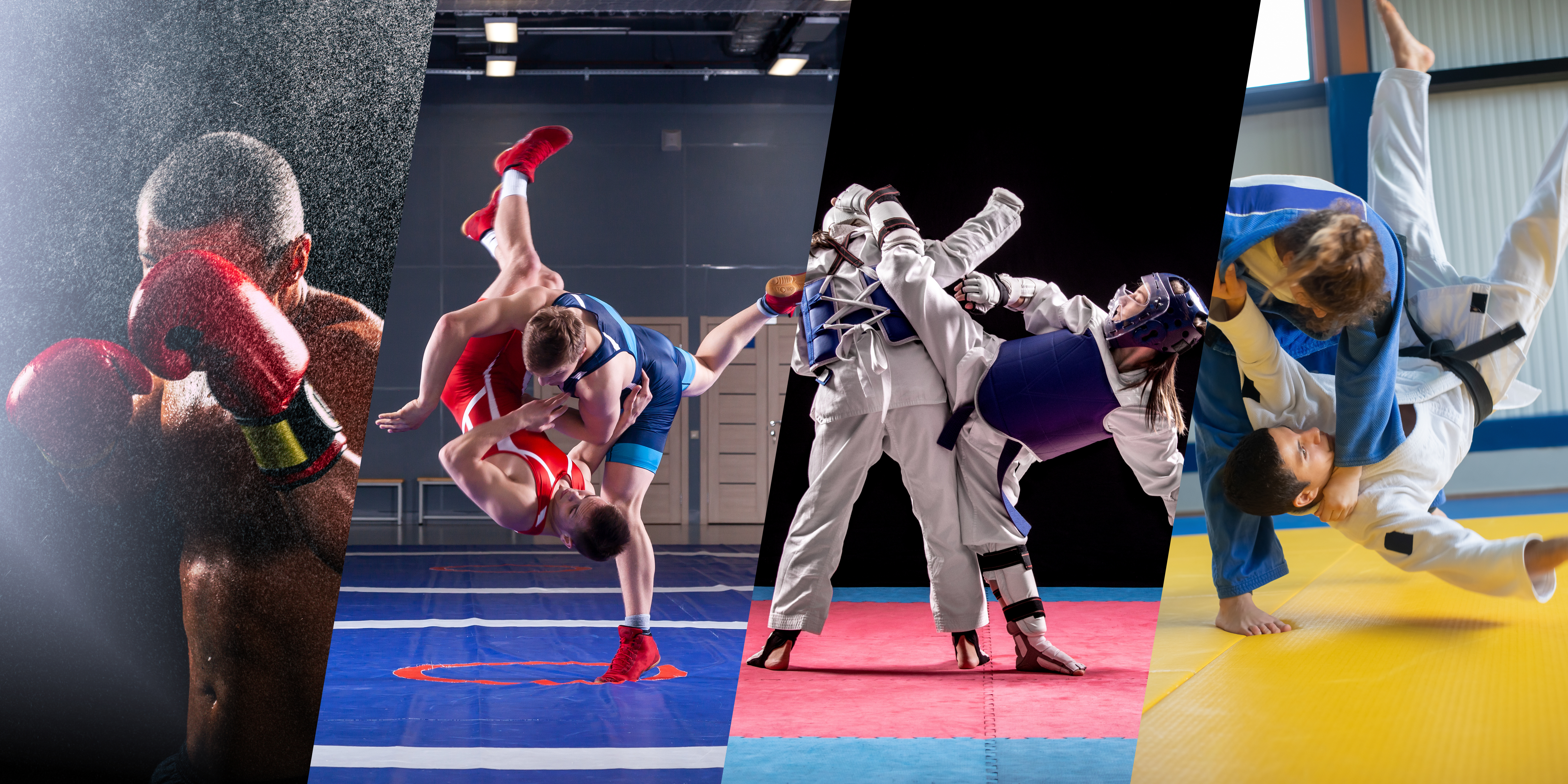 Comparing Olympic Martial Arts: Judo, Taekwondo, Wrestling, and Boxing